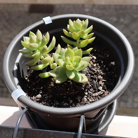 Casa Flor Do Camarao - Centro Historico De Διαμέρισμα Tomar